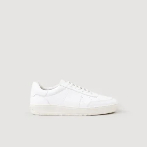 Deportivas<Sandro Paris Sneakers Piel De Curtiduria Certificada