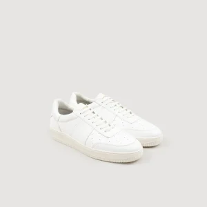Deportivas<Sandro Paris Sneakers Piel De Curtiduria Certificada
