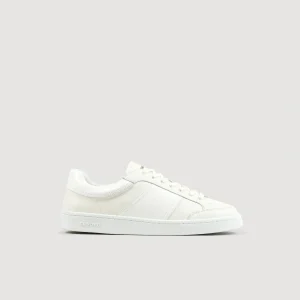 Deportivas<Sandro Paris Zapatillas Bajas