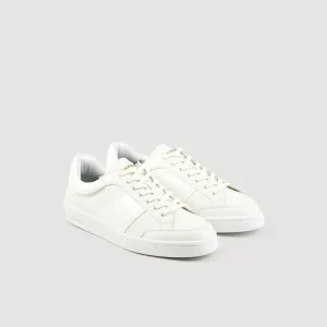 Deportivas<Sandro Paris Zapatillas Bajas